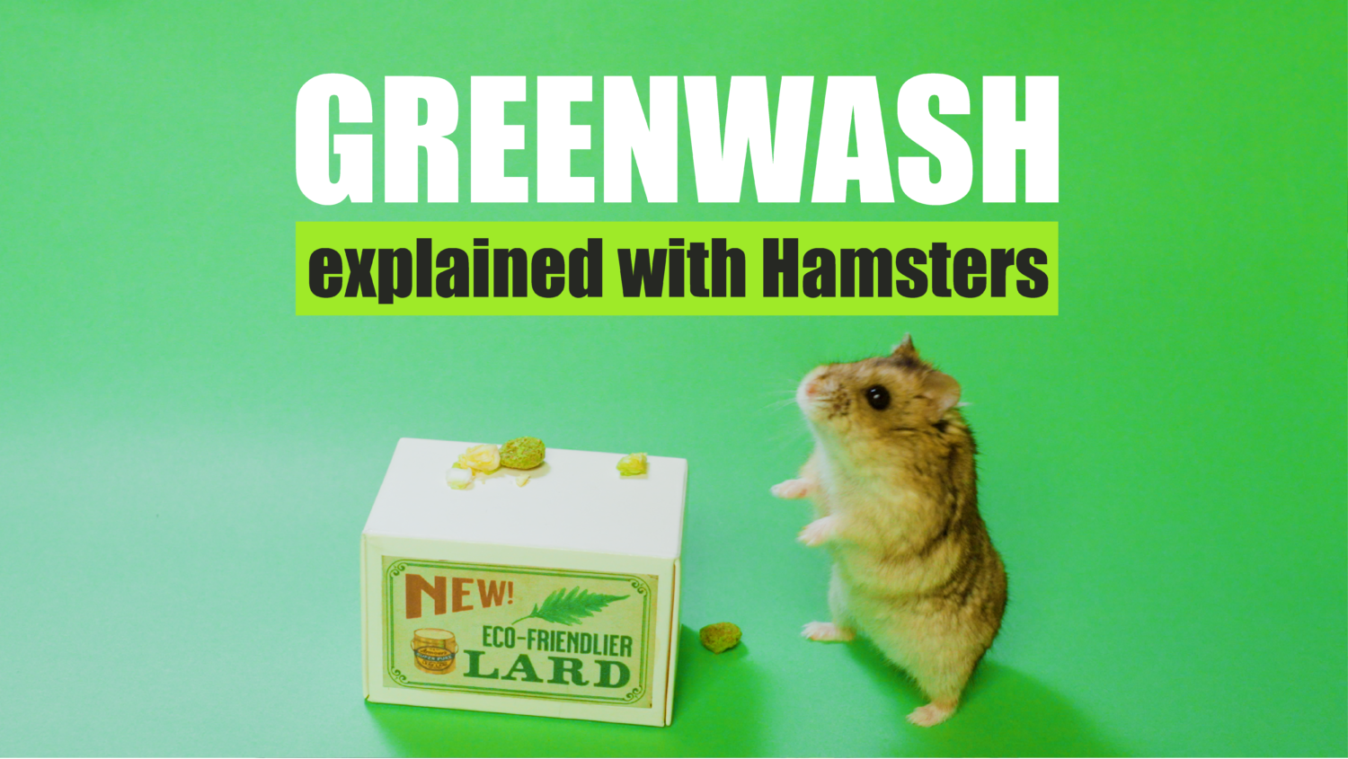 Greenwash: Explained With Hamsters