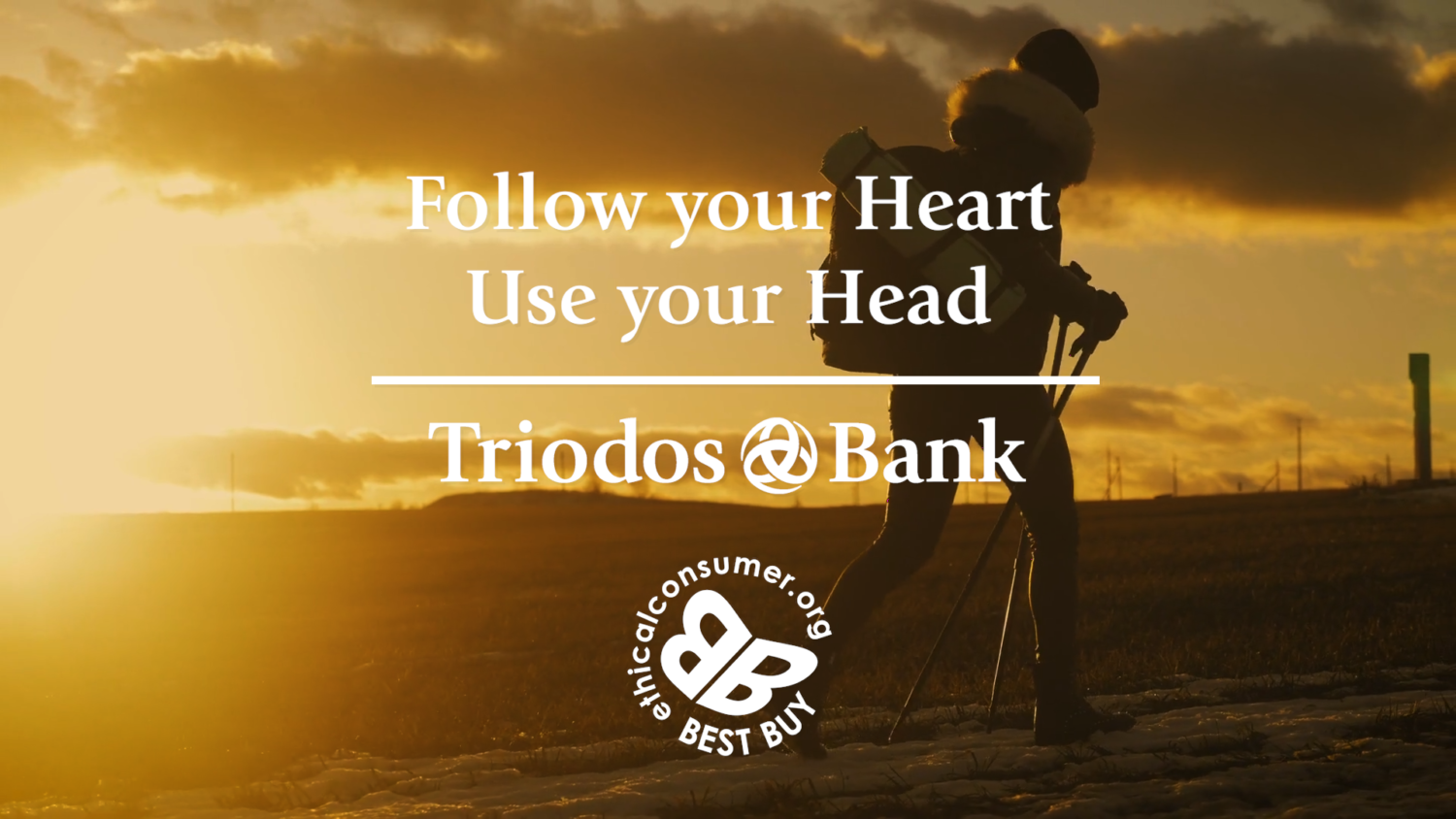 Triodos Bank: Social Video