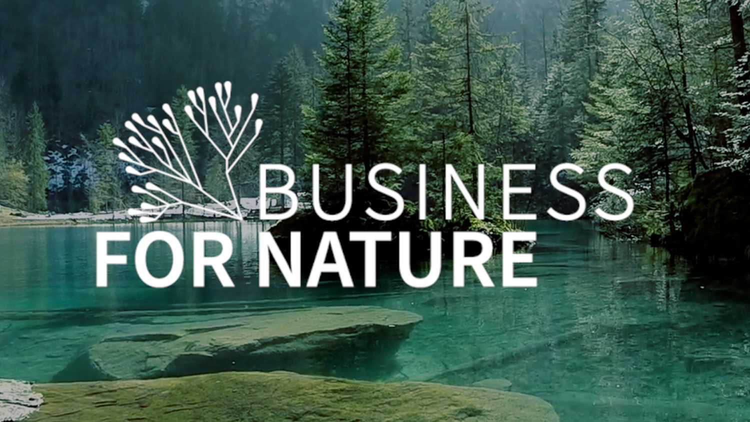 Business For Nature